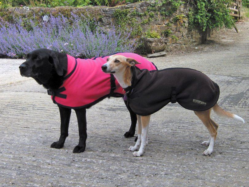 taille manteau pour chien