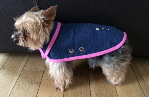 manteau pour petit chien yorkshire